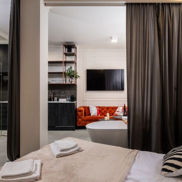 Jubilat-Savanna-C-apartament-krakow (13)